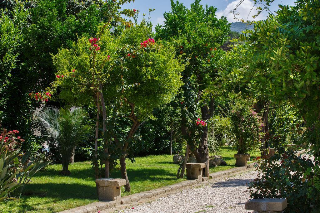Villa Don Camillo Sant'Agnello Exterior photo