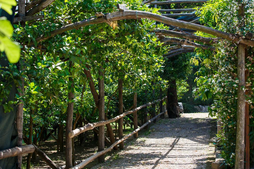 Villa Don Camillo Sant'Agnello Exterior photo